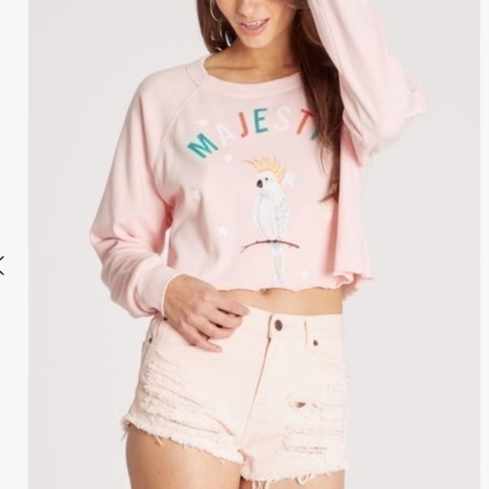NWT Wildfox Crop Long Sleeve Majestic Top
